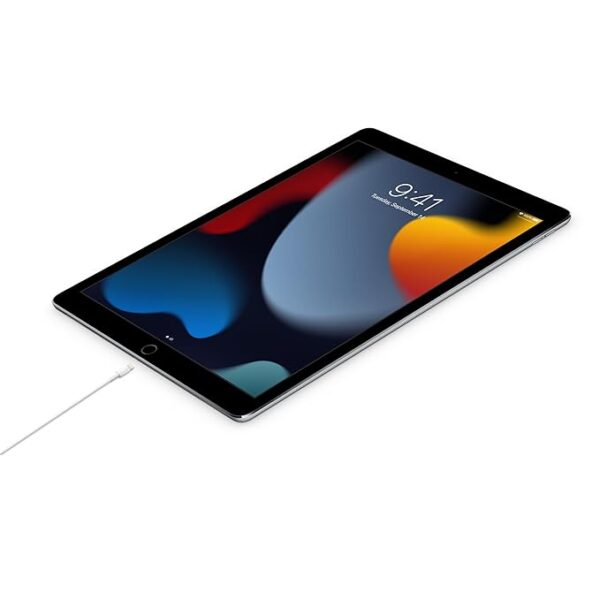 Apple TypeC to IOS Cable - Image 4