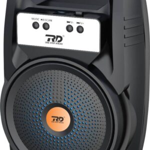 RD BS24 10W BT Speaker